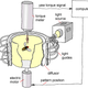 Image for article titled The crazy device that shows fruit flies have free will